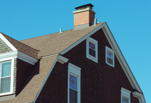 home with relined chimney